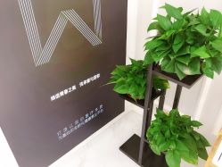 -MIVI半永久纹眉机器野生眉纹唇