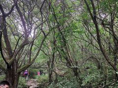 -秦岭风景区
