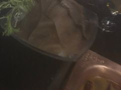 -王家渡火锅(三苏祠店)