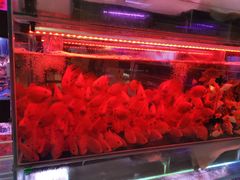 -三旗百汇商品城