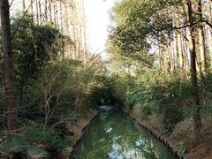 -同里国家湿地公园