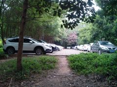 -火炉山森林公园