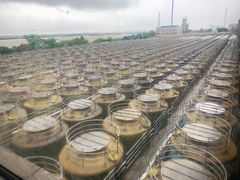 -厨邦酱油文化博览馆