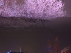 -红光山