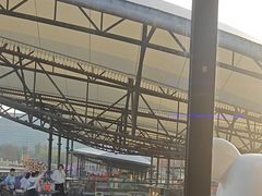 -移动谜城·大笨象密室逃脱(五棵松店)