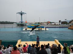 -秦皇岛乐岛海洋王国