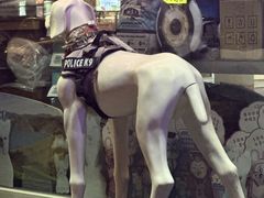 -我爱吾宠宠物美容院(朝阳路店)