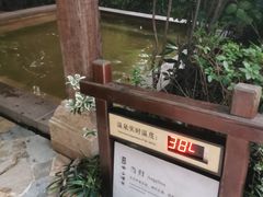 -天目湖涵田半山温泉