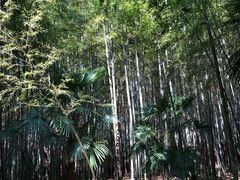-洪湖悦兮半岛国际温泉度假村