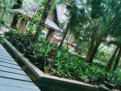 -三亚湾红树林度假世界(木棉酒店)