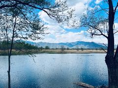 -野鸭湖国家湿地公园