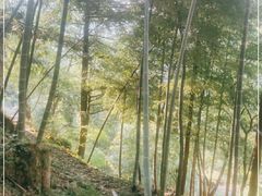 -藏龙百瀑风景区