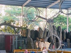 -泉州海丝野生动物世界