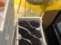 -百分茶(九洲新世界店)
