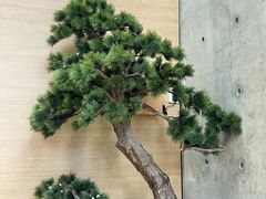 -喜茶(北京五棵松华熙店)