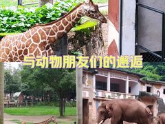 -广州动物园