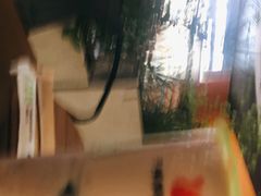 -书亦烧仙草(东汇城店)