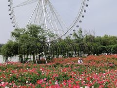 -祥源·阜阳生态乐园