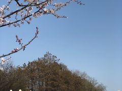 -月湖风景区