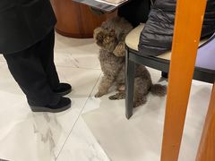 -龙凤瓦罐煨汤馆(清江东路店)