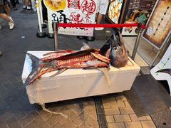 -大起水产回转寿司(道顿堀店)