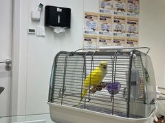 -立德异宠动物医院.兔鸟爬.内窥镜(天河店)