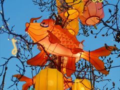 -龙湖星悦荟(颐和店)