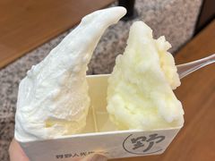-野人先生Gelato(上海长宁龙之梦店)
