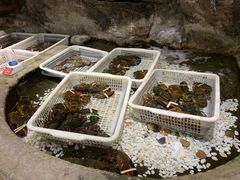 -郑庄脂渣海鲜楼(九水路店)