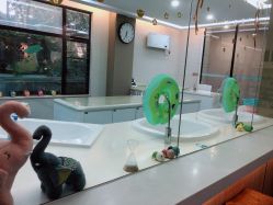 -宝生月子中心(独栋园林·福田店)