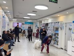 -美联众合动物医院·24h京西诊疗中心