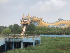 -太阳部落