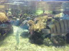 -郑州海洋馆