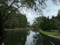 -上海共青森林公园