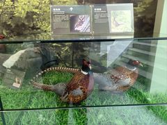 -房山世界地质公园博物馆