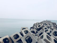 -东疆建设开发纪念公园