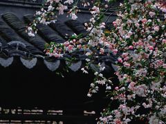 -莫愁湖公园