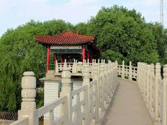 -东方巨龟苑景区