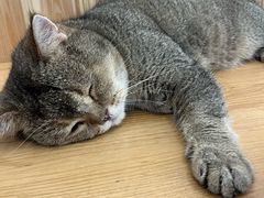 -小小班私人影院·猫咖(万达茂广场店)