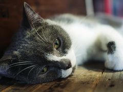 -MIKAKU(万达广场上海宝山店)