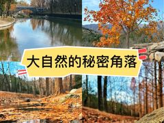 -白水寺森林公园