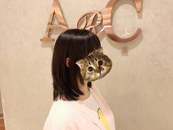 -ARC弧线沙龙