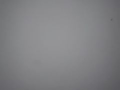 -德元·美联众合24小时动物医院(总院)