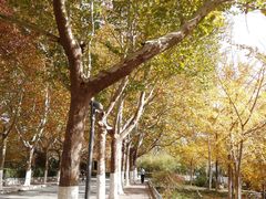 -济南大学-第8食堂