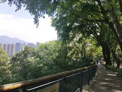 -金鸡山公园