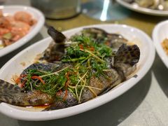-南蚝小贝海鲜特色餐厅(南澳岛店)