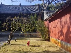 -建水文庙