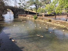 -蔺大妈松花糕
