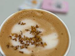 -Seesaw Coffee(西岸凤巢店)