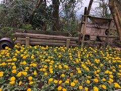 -远山有窑